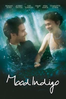 Mood Indigo English Subtitles Buy when it s cheap