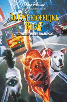 Homeward bound: De ongelofelijke rei - Buy when it's cheap