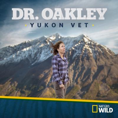 When Does Dr. Oakley, Yukon Vet Season 5 Start? Premiere 